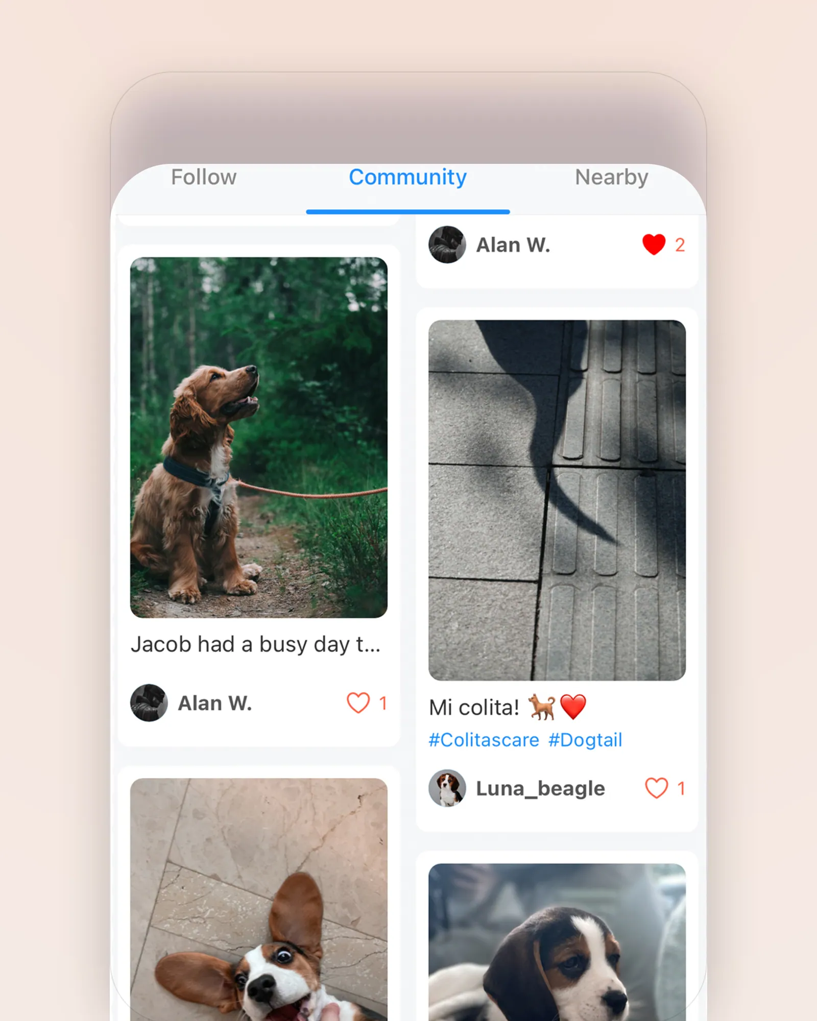 Colitas — an iPhone and iPad app built by Axtra Studios, its community feed on a phone