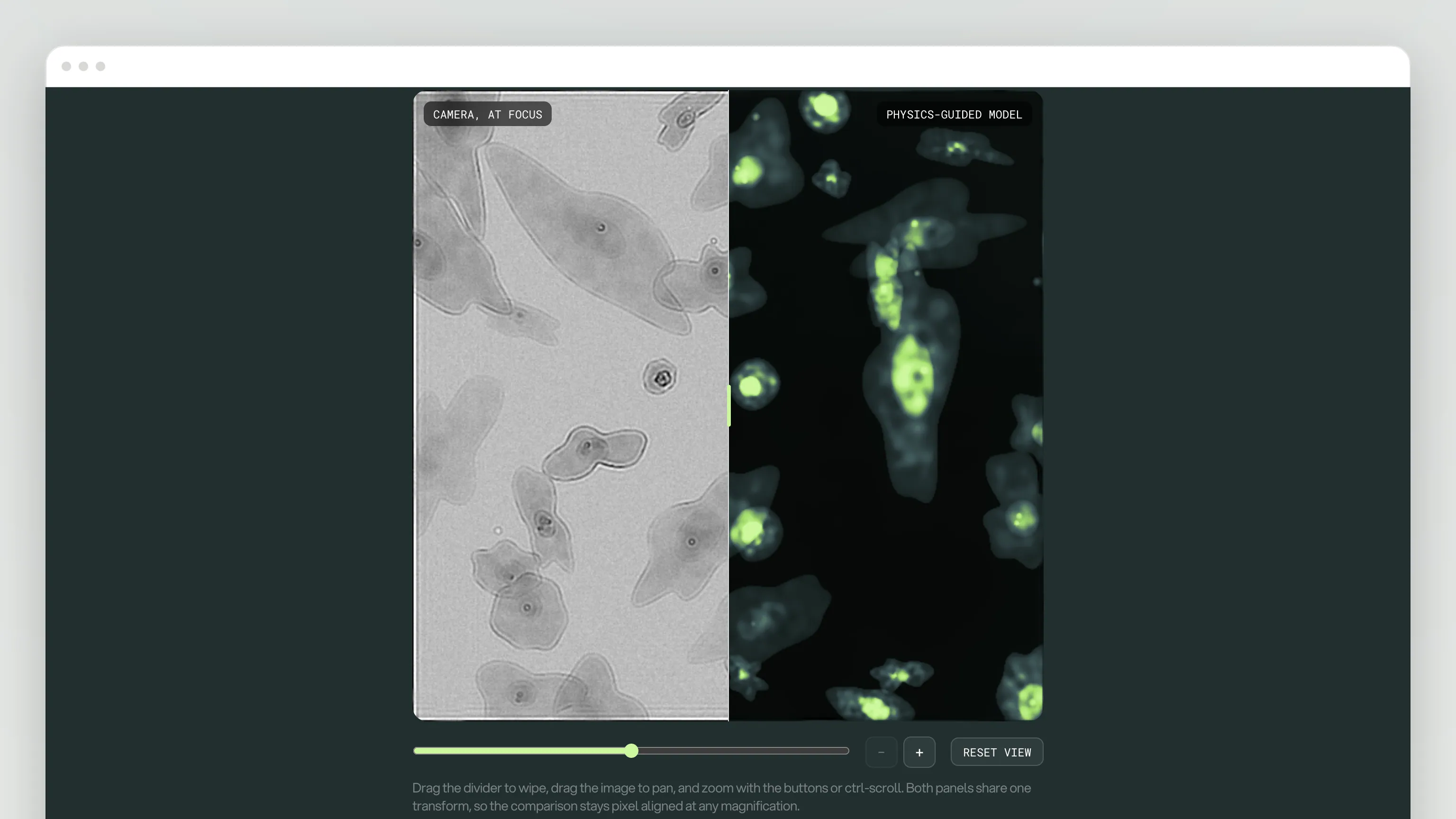 The reconstruction tool’s compare viewer: a wipe slider between a grey "CAMERA, AT FOCUS" brightfield panel and a dark "PHYSICS-GUIDED MODEL" panel glowing yellow-green over the same field of cells, with a zoom slider and Reset view button below