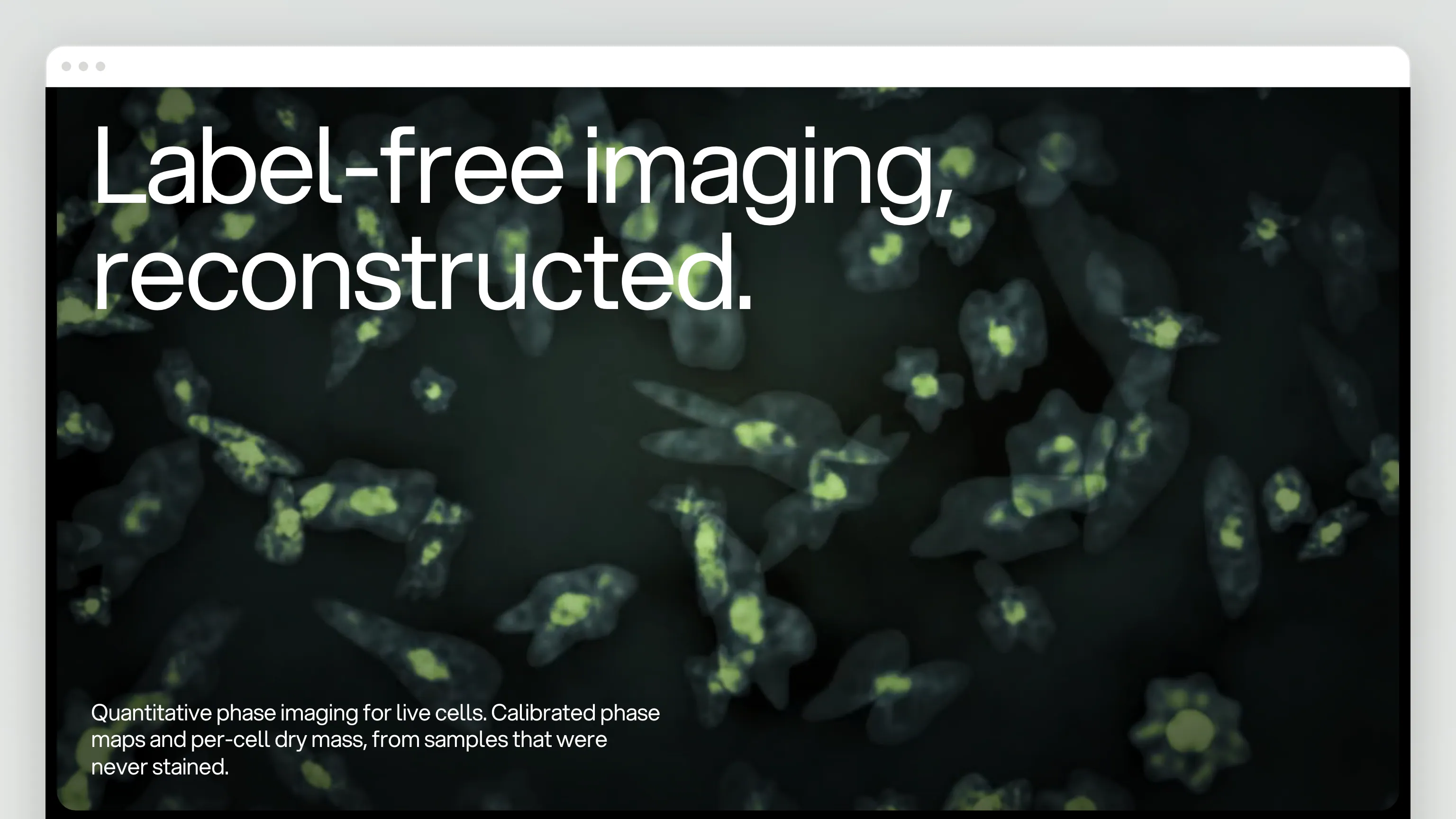 The Velos Bio home page in a browser window: a near-black dark-field hero of live cells — grey-green bodies, glowing yellow-green nuclei