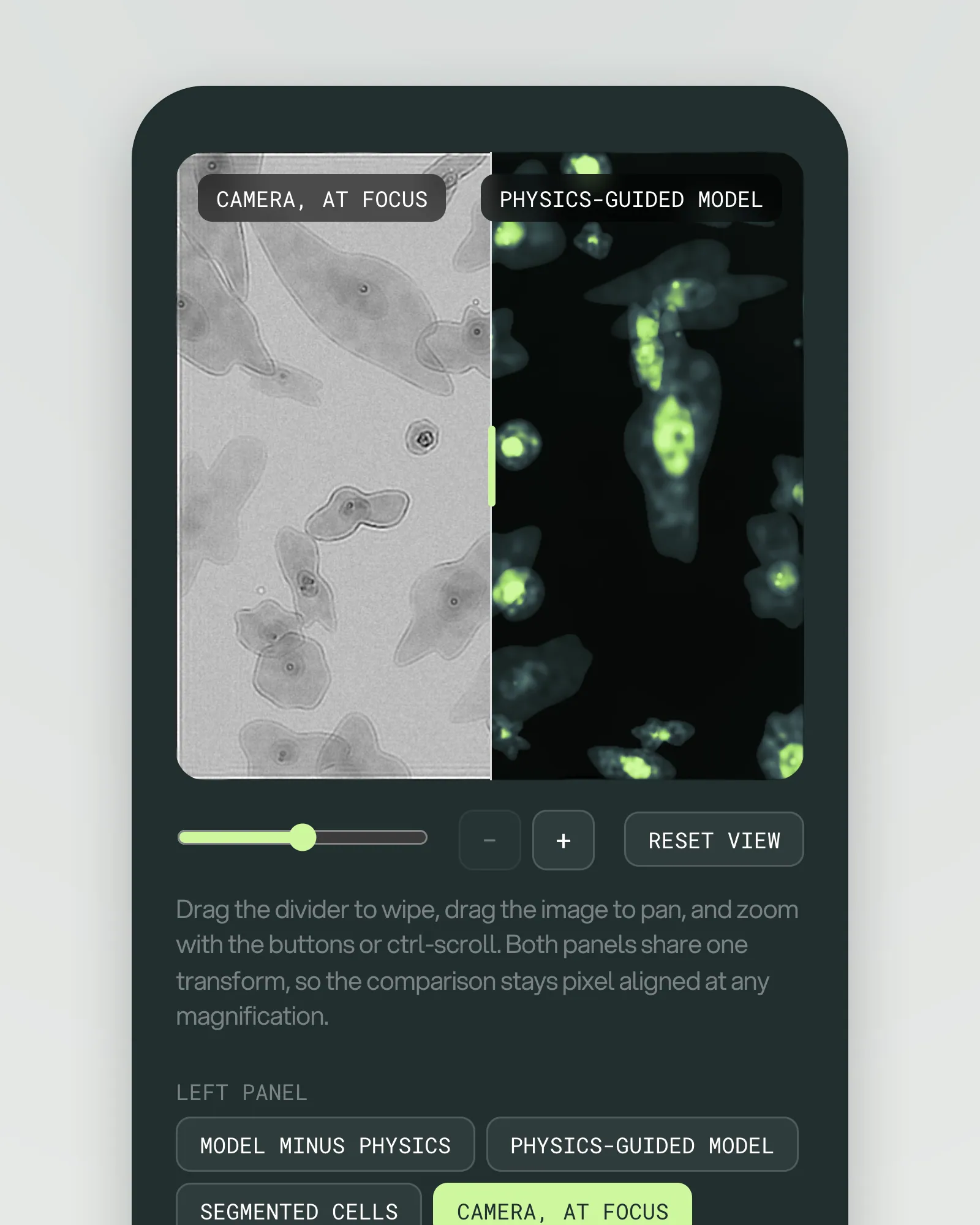 The compare viewer on a phone: a wipe between a grey "CAMERA, AT FOCUS" panel and a dark "PHYSICS-GUIDED MODEL" panel over the same cells, a zoom slider with − and + buttons, a RESET VIEW button