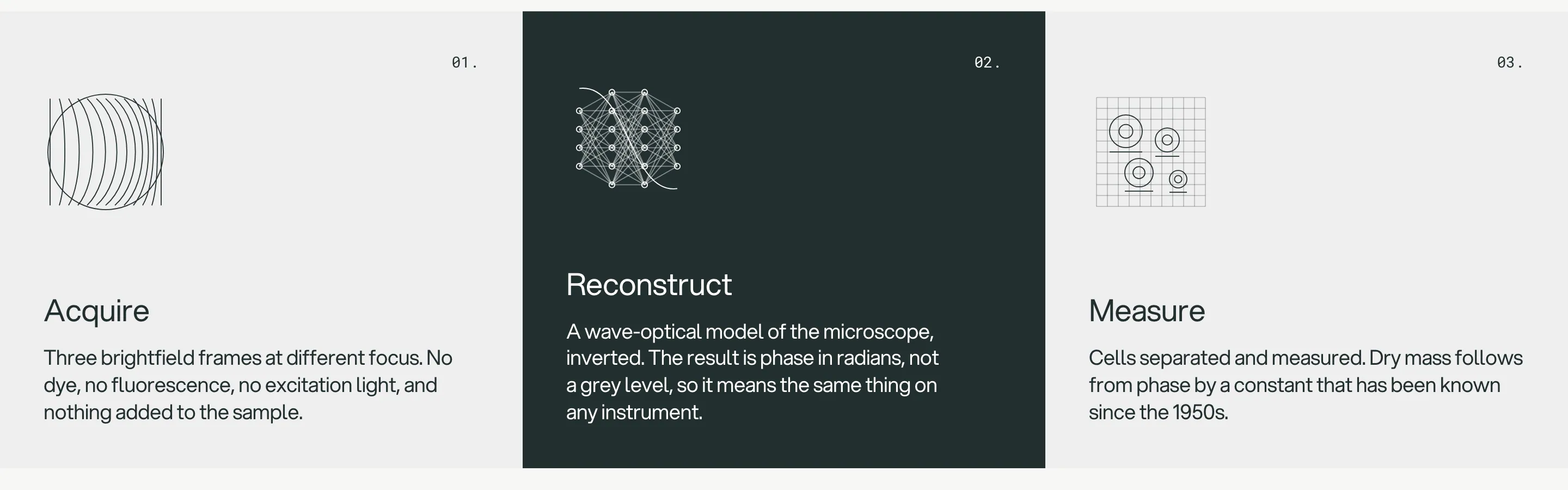 The site’s three-step pipeline diagram: "01. Acquire" with a circle-of-lines icon and "Three brightfield frames at different focus. No dye, no fluorescence, no excitation light, and nothing added to the sample."; "02. Reconstruct" on a dark card with a neural-net icon and "A wave-optical model of the microscope, inverted. The result is phase in radians, not a grey level, so it means the same thing on any instrument."; "03. Measure" with a grid-of-circles icon and "Cells separated and measured. Dry mass follows from phase by a constant that has been known since the 1950s."