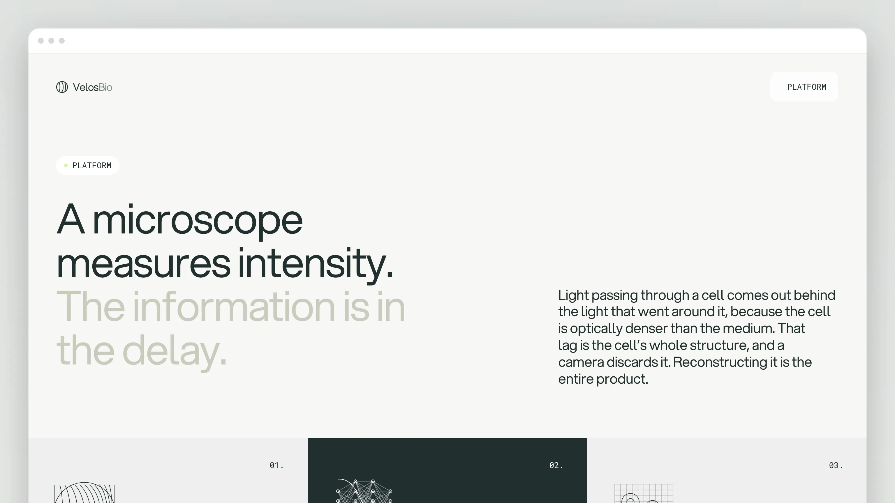 The Platform page in a browser window: a PLATFORM tag, the heading "A microscope measures intensity. The information is in the delay."